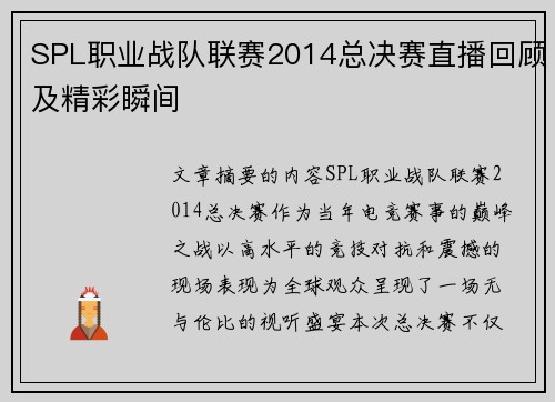 SPL职业战队联赛2014总决赛直播回顾及精彩瞬间